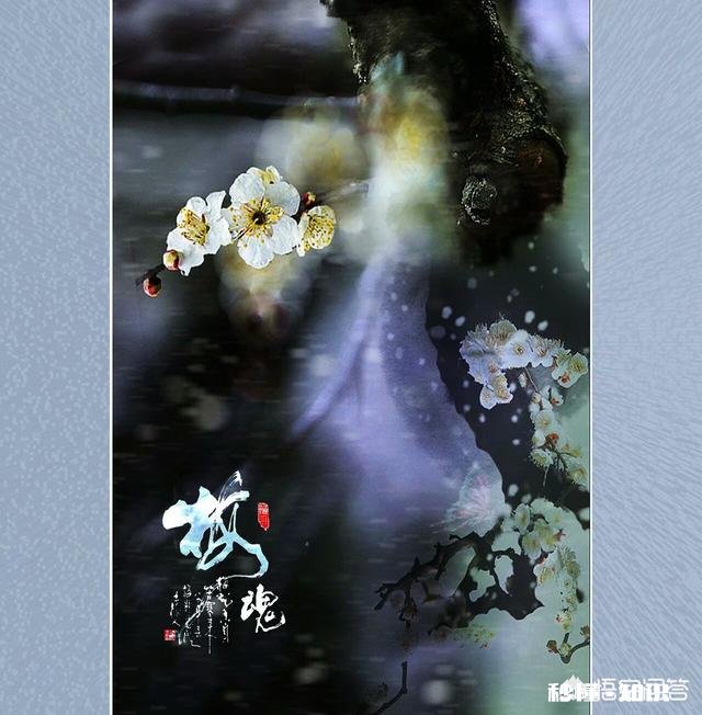 学习摄影初级入门，应该准备些什么