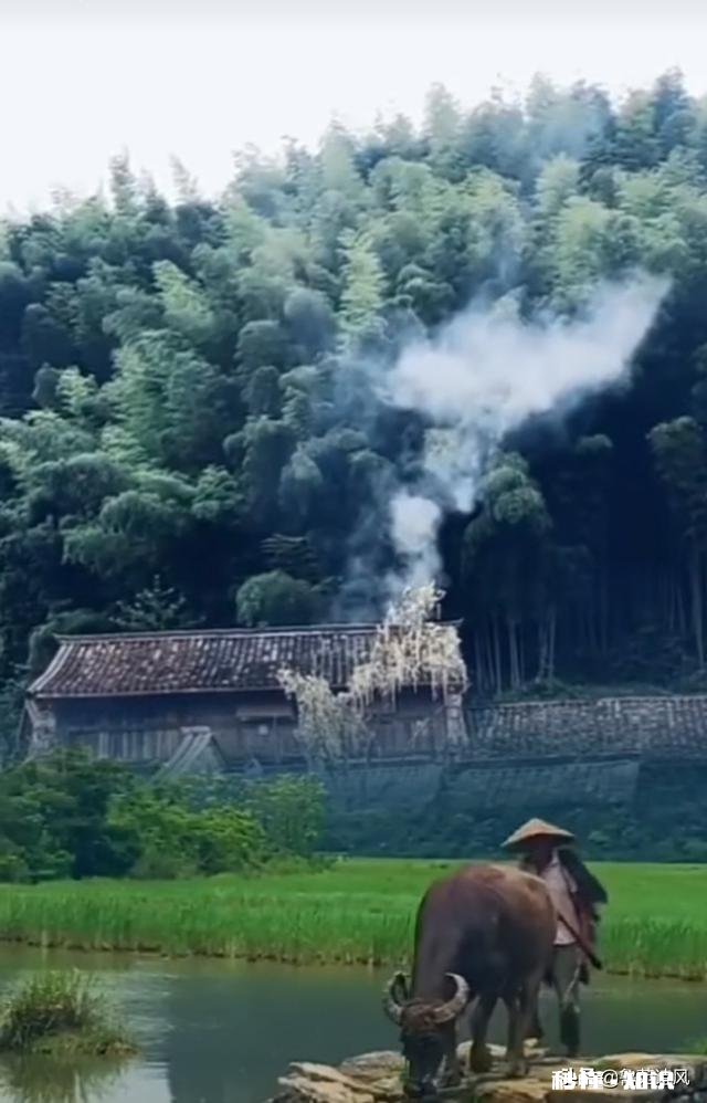 买社保不如低保和五保你怎么看