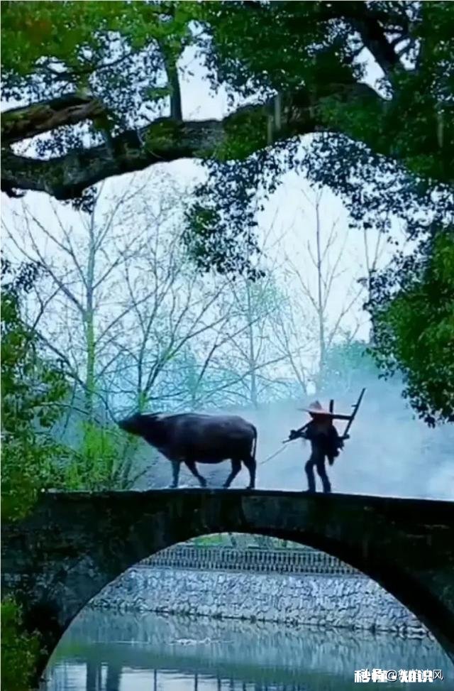 买社保不如低保和五保你怎么看