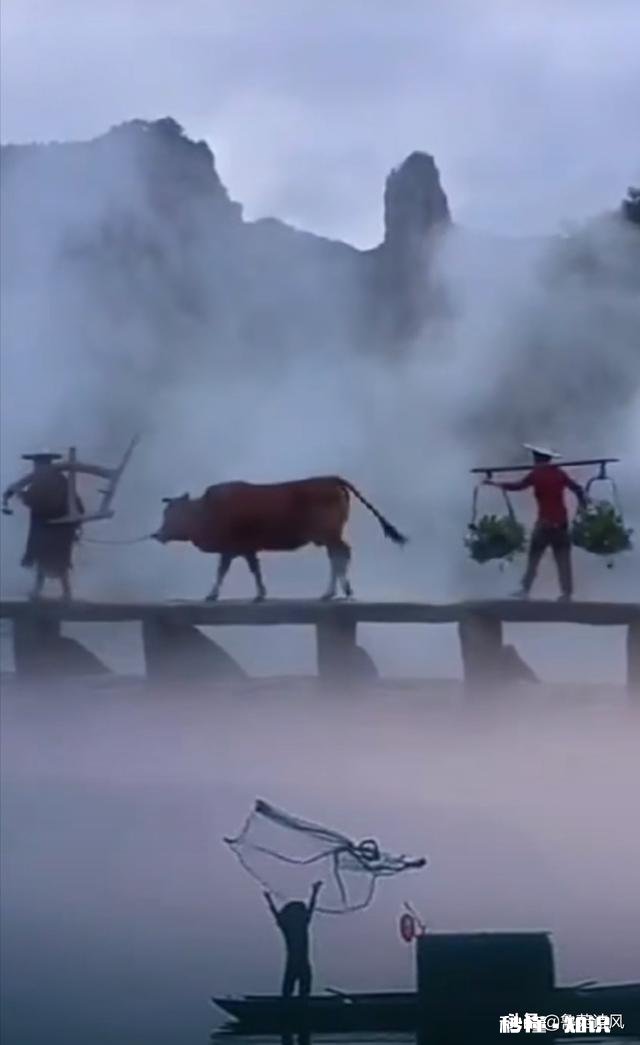 买社保不如低保和五保你怎么看