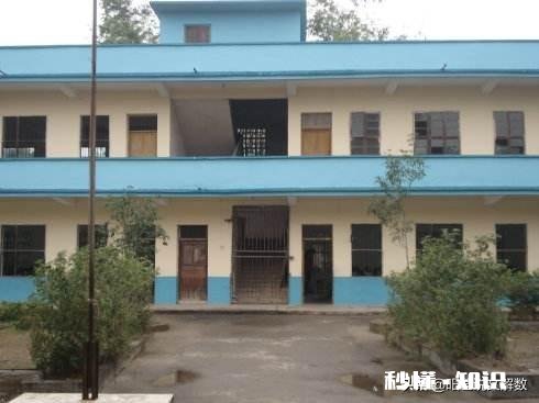 农村教育的根本是什么