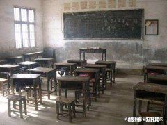 农村教育的根本是什么