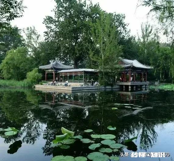 求救:内心如何斩断亲人关系