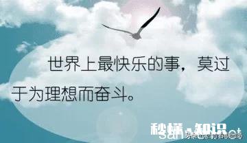 面对冷眼和嘲笑应该怎么办