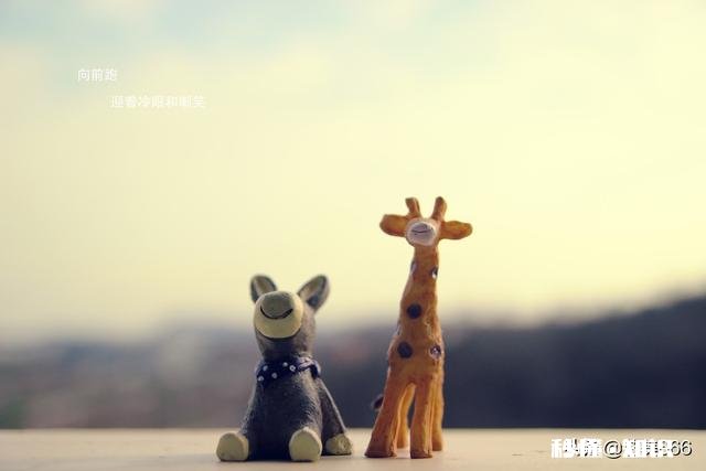 面对冷眼和嘲笑应该怎么办