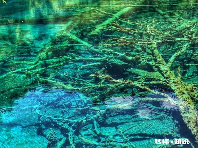 九寨沟地震,景点破坏程度大吗