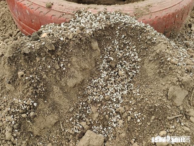 换花盆的土需要晒太阳吗