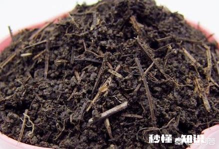 换花盆的土需要晒太阳吗