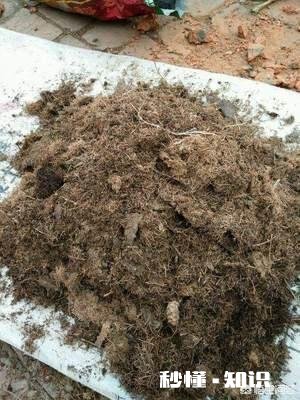 换花盆的土需要晒太阳吗