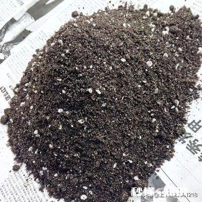 换花盆的土需要晒太阳吗