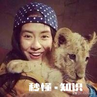 RunningMan有个团宠叫宋智孝她到底有什么魅力