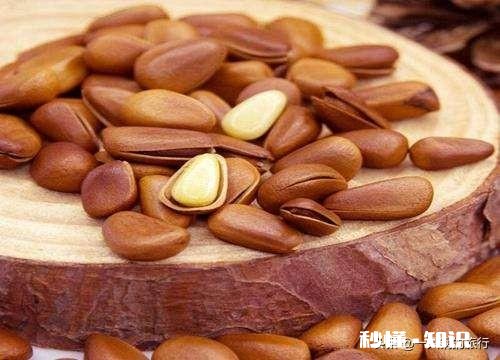 春节什么坚果畅销