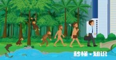 对于生物进化论合不合理。你怎么看