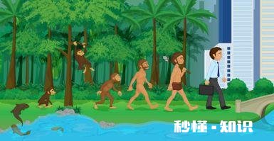 对于生物进化论合不合理。你怎么看