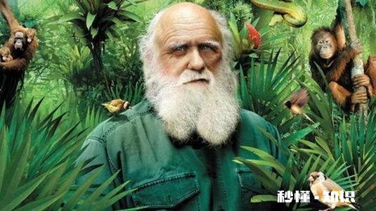 对于生物进化论合不合理。你怎么看