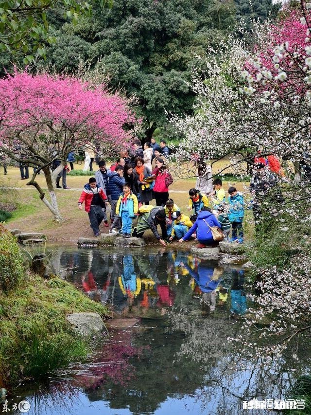 你上学时期最让你难忘的事情是什么