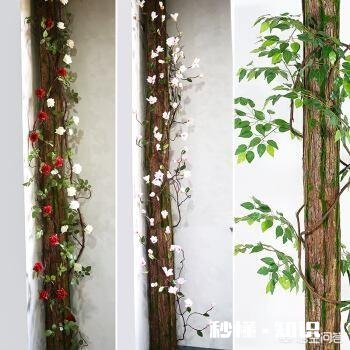 干湿分离的洗手池未装修,这个位置的下水管道怎么设计好看实用