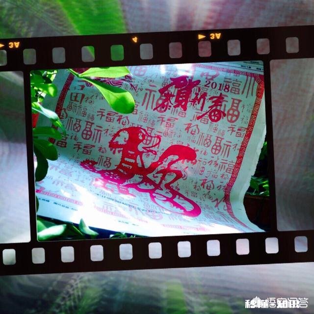 过年期间,你拍摄过哪些难忘的相片