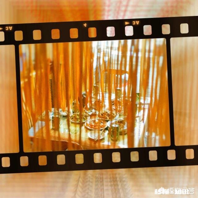 过年期间,你拍摄过哪些难忘的相片