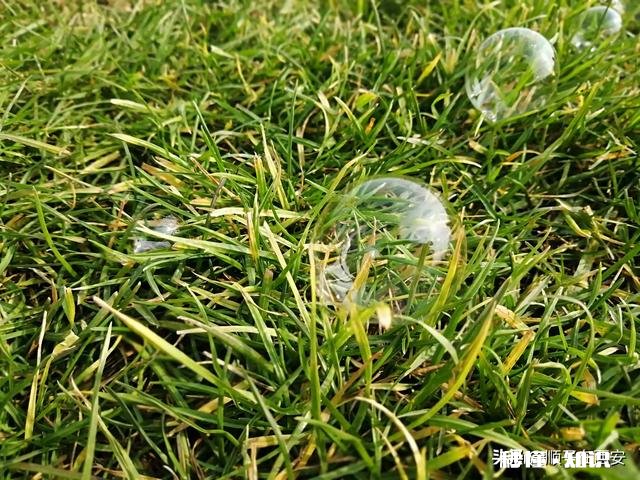 你感觉什么最好