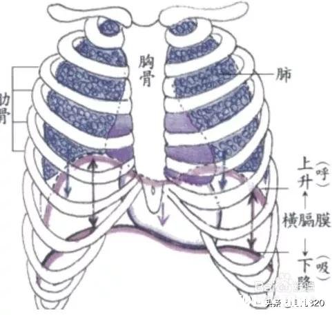 唱歌是否要收缩腹部