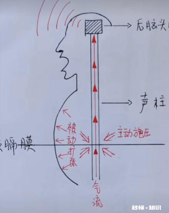唱歌是否要收缩腹部
