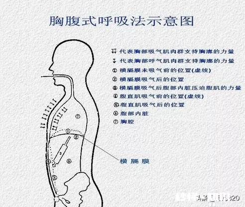 唱歌是否要收缩腹部