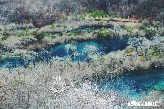 九寨沟地震后还能恢复原貌吗