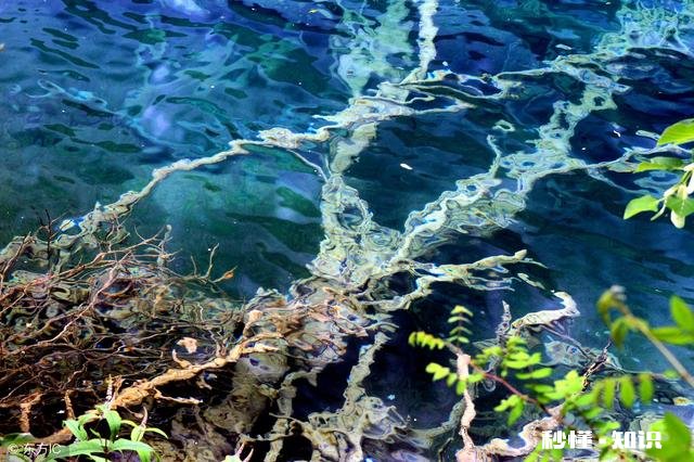 九寨沟地震后还能恢复原貌吗