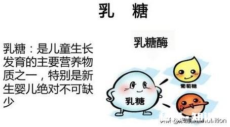 宝宝腹胀10多天,有肠鸣,多屁,拉奶瓣,会是乳糖不耐受吗,吃母乳