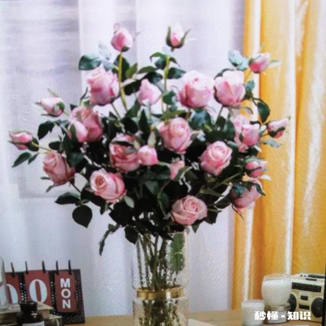 都六月份了,我的几盆玫瑰花还没有开花,为什么