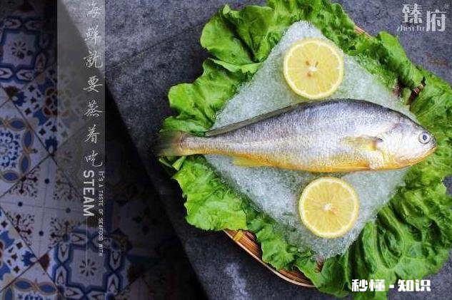 淡水鱼什么鱼的鱼子好吃