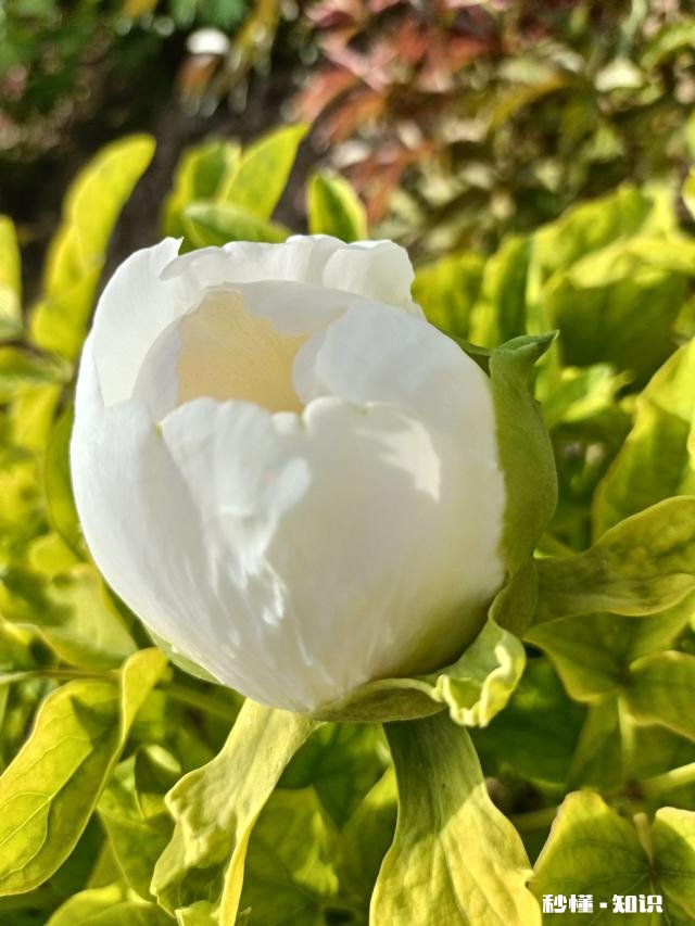 你有天天追更吃播视频吗