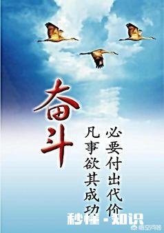 没有学历,没有后台,是不是除了销售就没有别的选择了