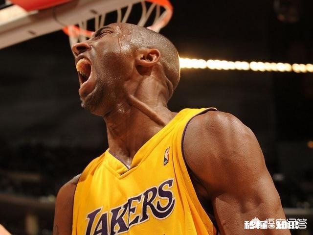 没有学历,没有后台,是不是除了销售就没有别的选择了