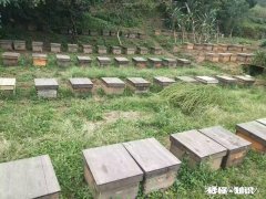 在农村好无聊怎么办