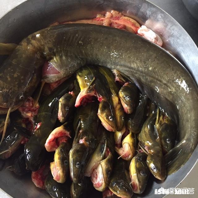 是什么让你我不管离家多远过年都想回家