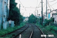 29岁剩女相亲后被逼婚，年龄真是女性跨不过去的鸿沟吗