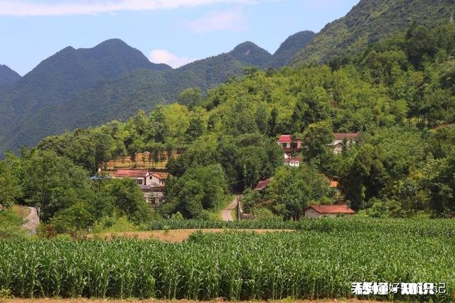 说说各位户外旅行都带着什么样的桌子和凳子或者椅子