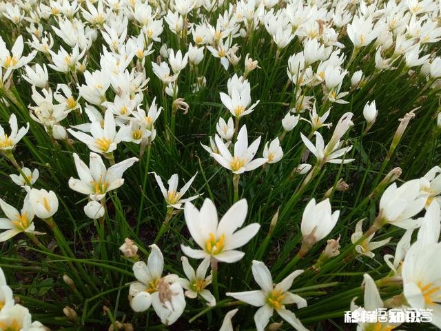 怎样才能成为“最佳女友”