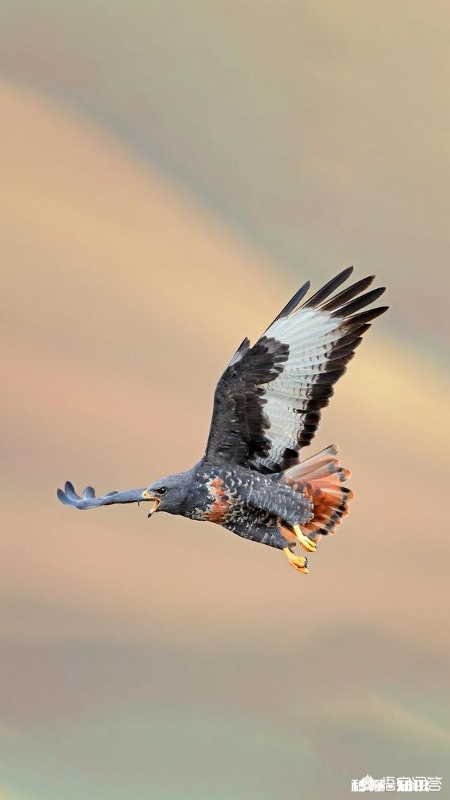 是拉省劲，还是推省劲你们有什么想法