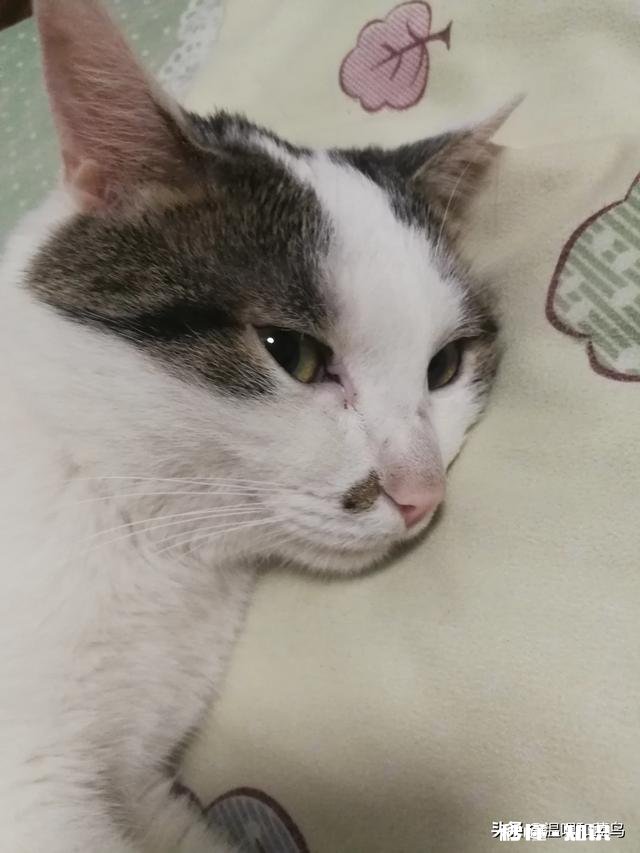 23岁,中专毕业,已工作4年,现在有没有必要再去读个全日制大专