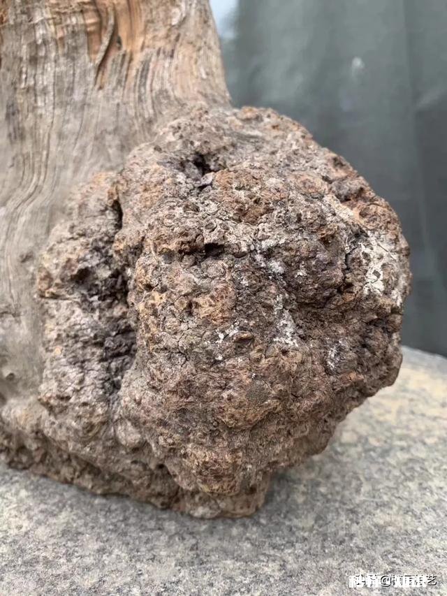 崖柏怎么样算好