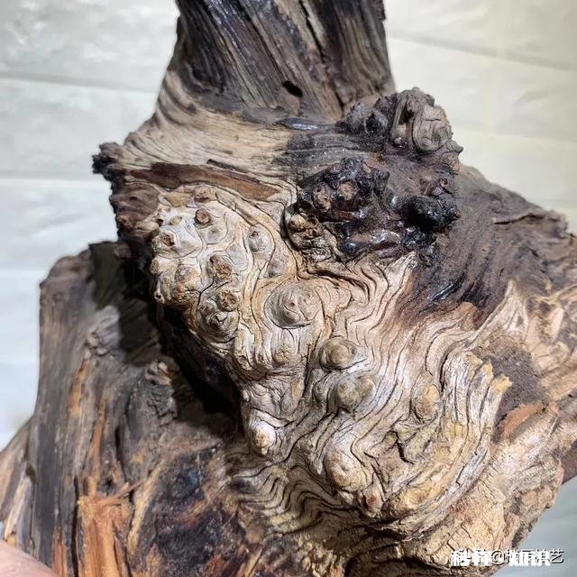 崖柏怎么样算好