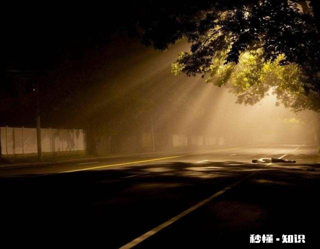 又懒又好高骛远，学不进去东西又自命清高怎么办