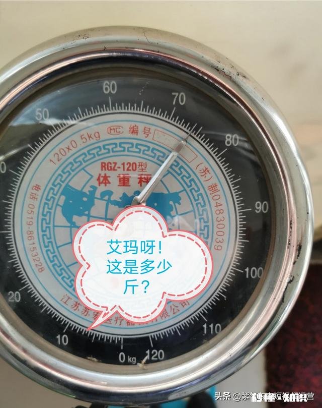 推荐一下既减肥又美容的产品