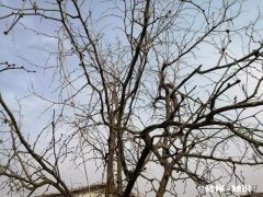 超过40集的注水电视剧有哪些