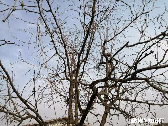 超过40集的注水电视剧有哪些