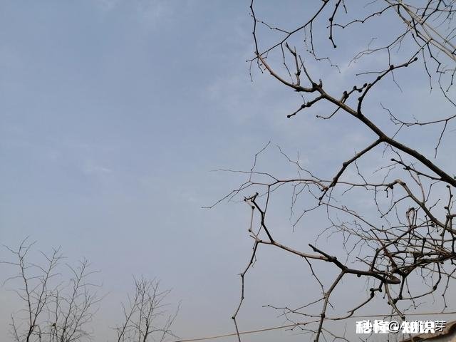 超过40集的注水电视剧有哪些