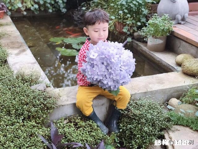 想在院子做个鱼池，地势一处高，一处低。怎么做啊